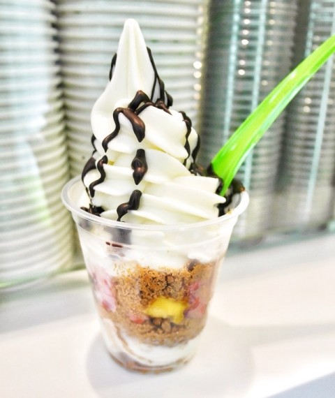 Huge swirls of froyo with 3 toppings, 1 choice of crumbs and a sauce..